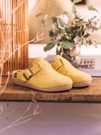 Women's clog-style slipper with buckle | MIMA-FP